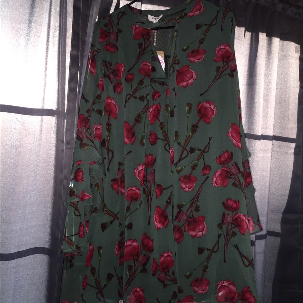 umgee tunic/dress